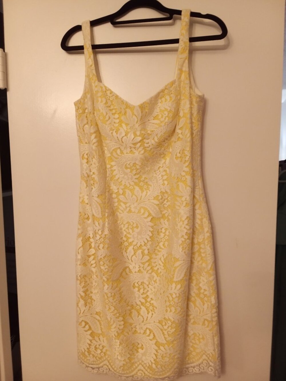 Badgley Mischka Dress